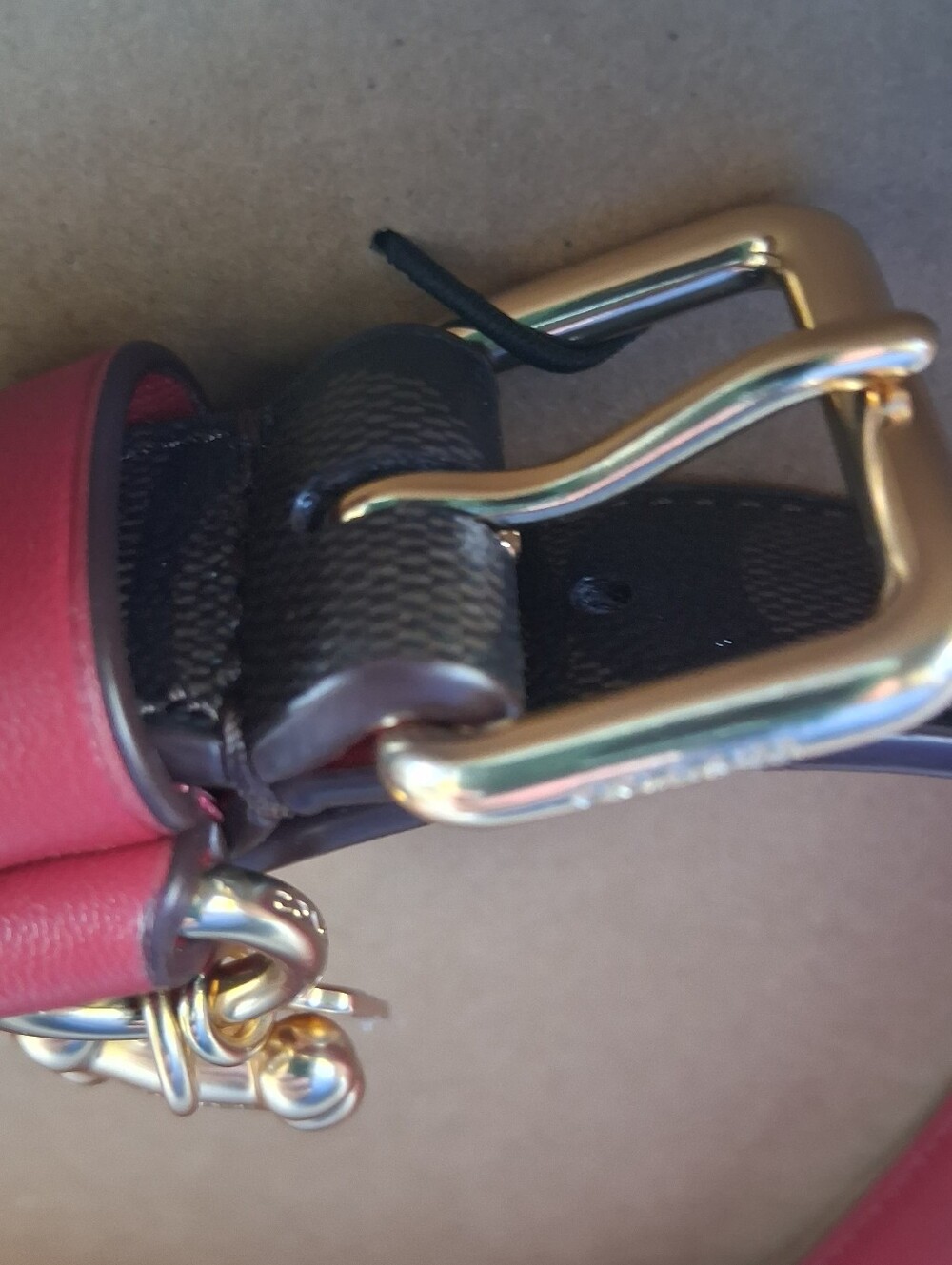 Coach Dog Collar - Picture 7 of 16